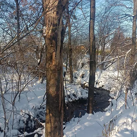 Ustronne Chatki - Ostoja Nad Potokiem Alpstuga Ustroń