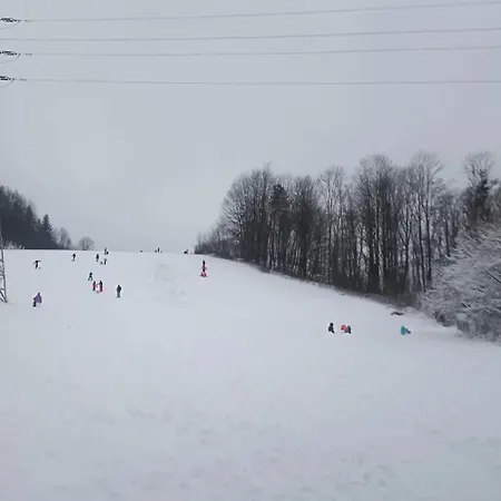 Ustronne Chatki - Ostoja Nad Potokiem Domek alpejski *