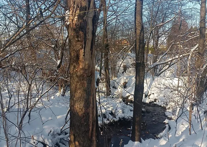 Ustronne Chatki - Ostoja Nad Potokiem בקתה אוסטראון