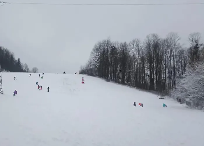 Ustronne Chatki - Ostoja Nad Potokiem בקתה *
