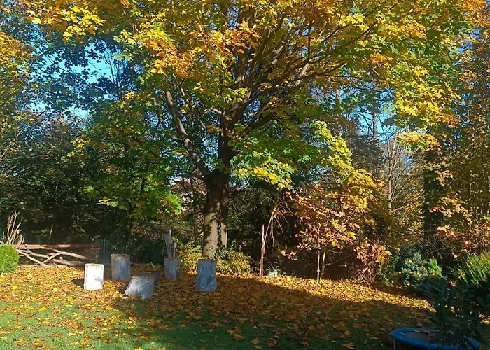 Ustronne Chatki - Ostoja Nad Potokiem * אוסטראון